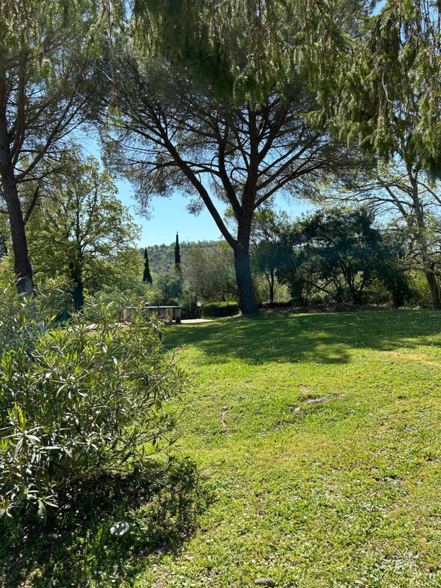 Гостевой дом Campo Di Carlo Сассетта Экстерьер фото